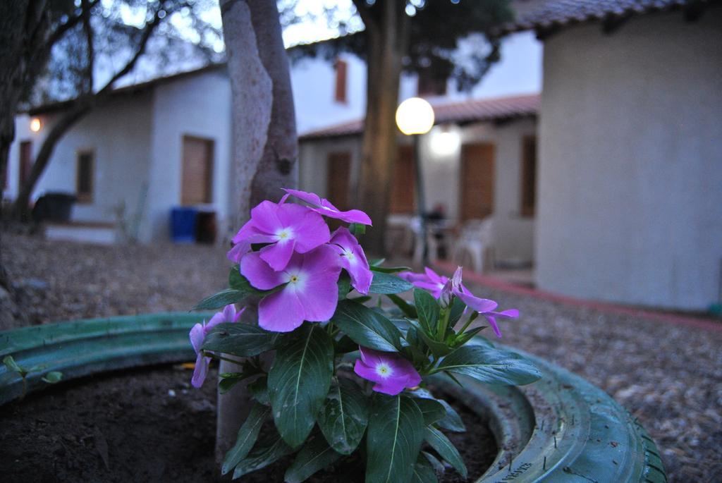 Camping B&B Gioiosa Джойоза Мареа Екстериор снимка