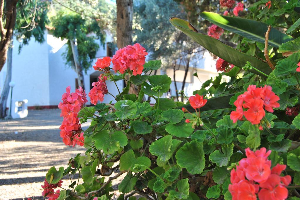 Camping B&B Gioiosa Джойоза Мареа Екстериор снимка